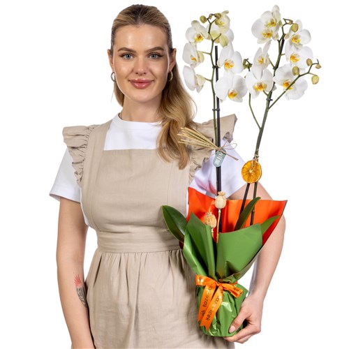 Orange Touch 2 Dal Beyaz Orkide