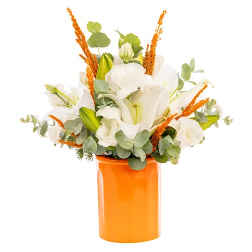 Orange White Heat Lilyumlar