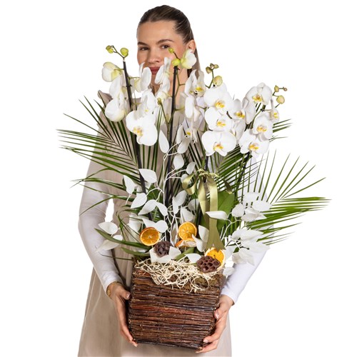Orchid Aura Designer Collection
