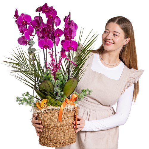 Orchid Infinity Premium Experience