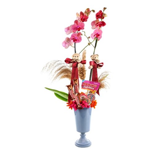 Orchid Like Chocolate