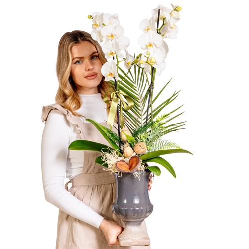 Orchid Noir Classic Signature Vase