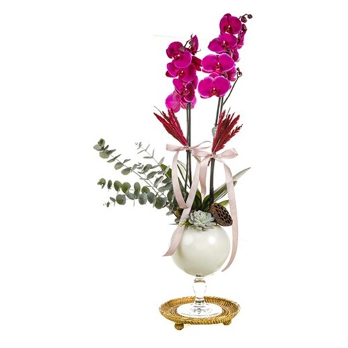 Orchid Of Nobility