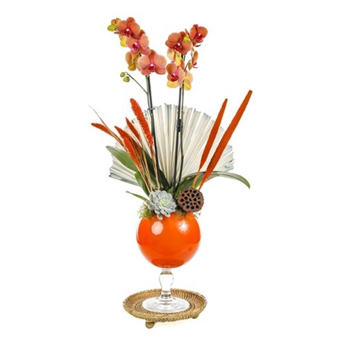 Passion For Orange