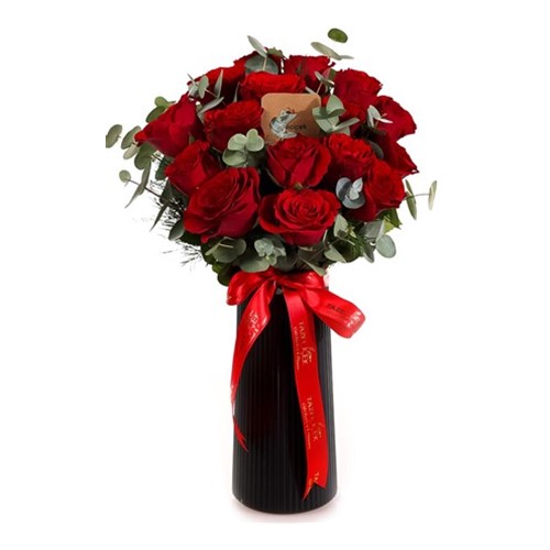 Passionate Dream 15 Kırmızı Gül