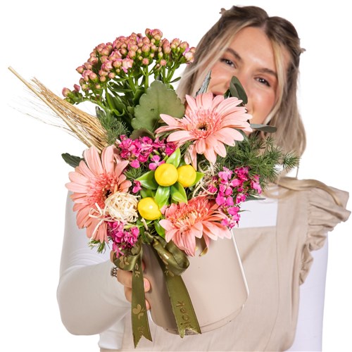 Pastel Dream Kalanşo Gerbera