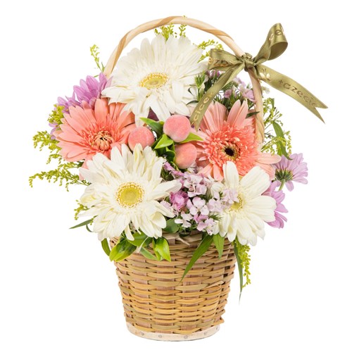 Pastel Harmony Gerbera Sepeti