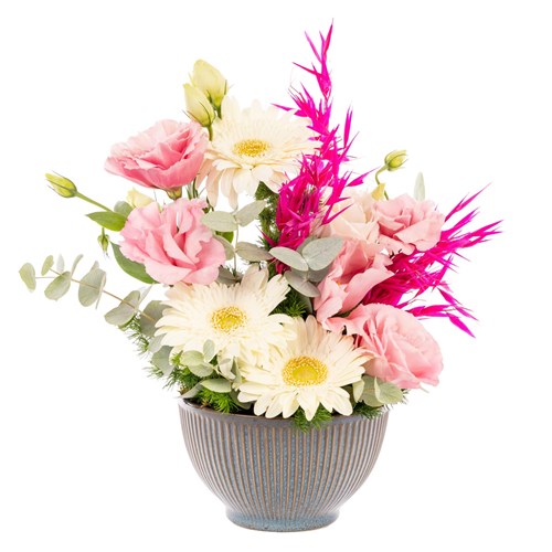 Pastel+Touch+Gerbera+Aranjman%c4%b1