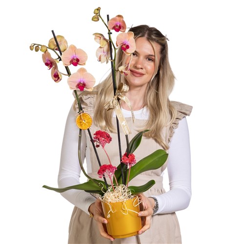 Peach Glow Çift Dallı Orkide