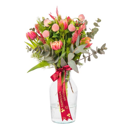 Peach Romance Lale Bloom