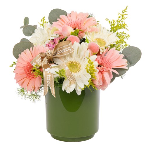 Peach Whisper Gerbera Vazosu