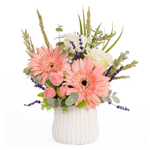 Peach Whisper Gerbera ve Güller