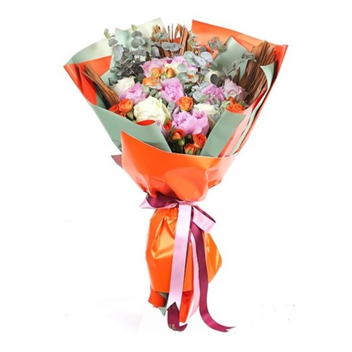 Peony Splendor Şakayık