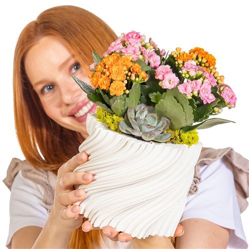Petal Twist Kalanşo ve Sukulent Aranjmanı