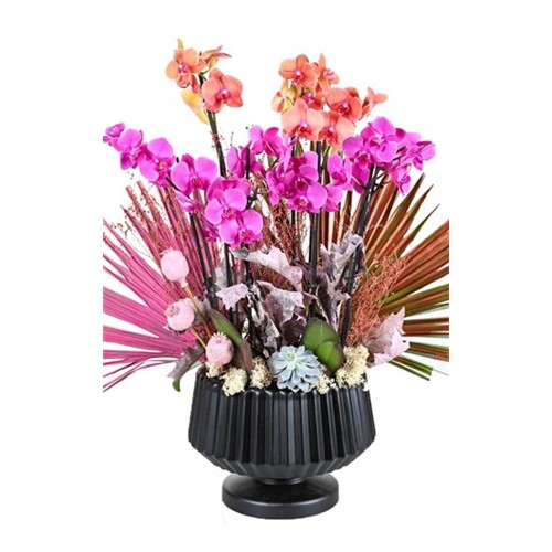 Pink & Orange Orchid