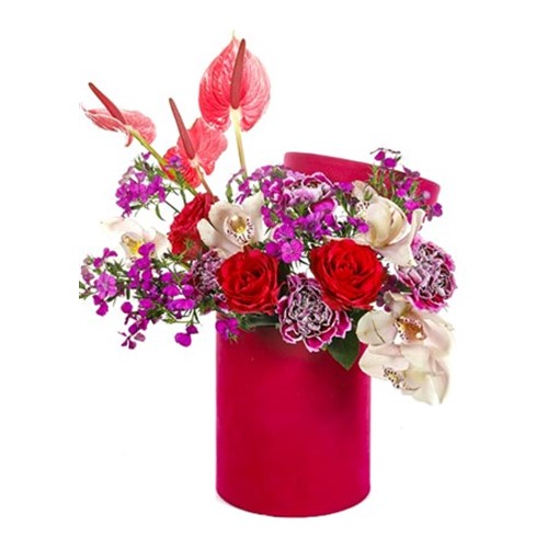 Pink Box Frenzy