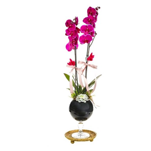 Pink Orchid Black Vase