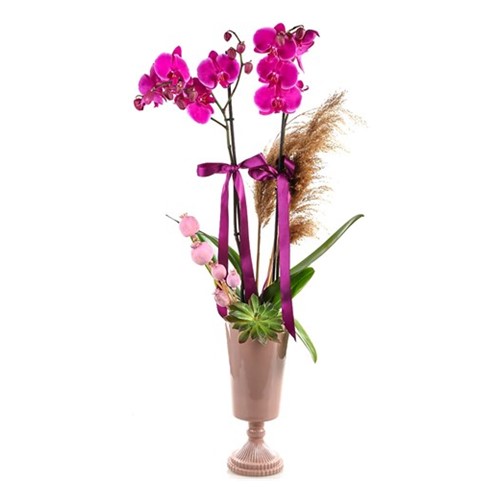 Pink Orchid Inspired By The Pampas