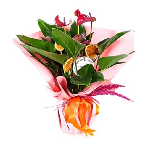 Pink Passion Anthurium