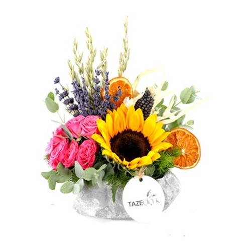 Pink & Summer Sunflower