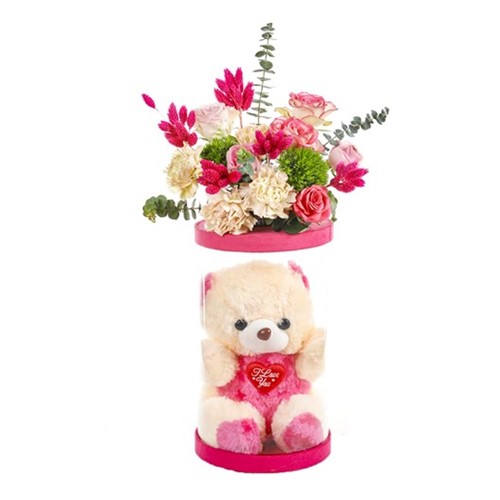 Pink Teddy Bear