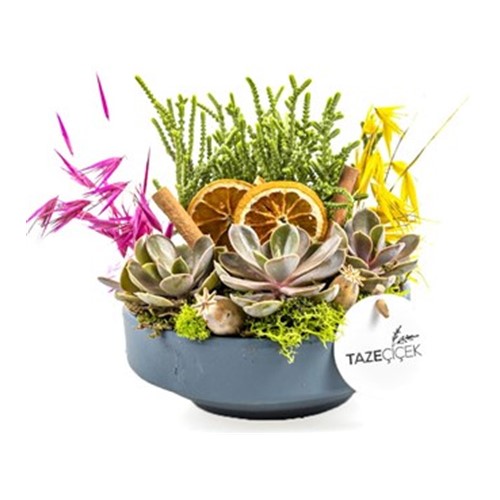 Plant Set