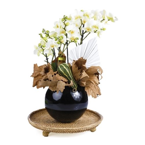 Premium Hoop Orchid