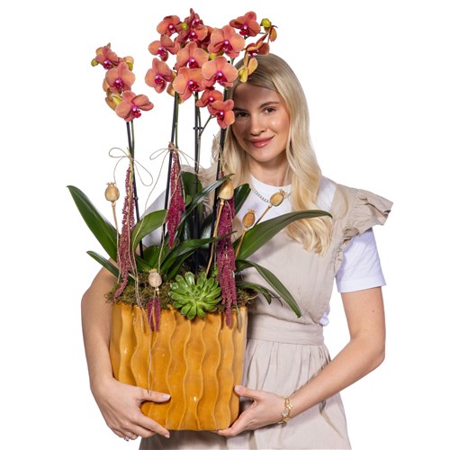 Premium Orange Orchid Turuncu Orkide