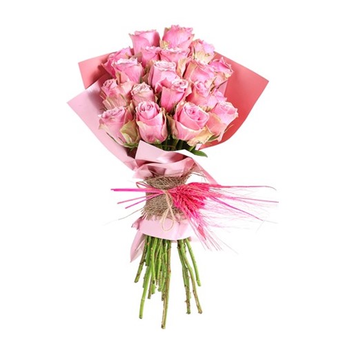 Premium Pink Roses