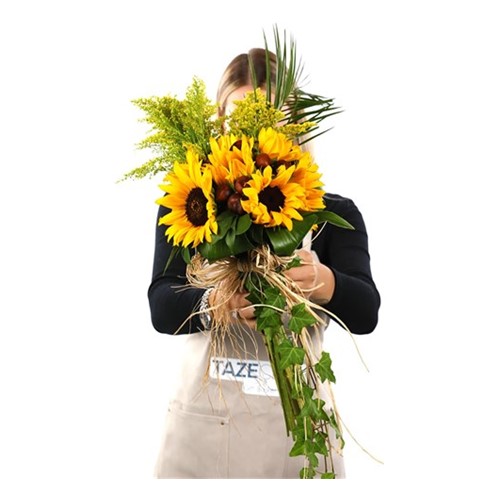 PRO & Honey Be Sunflower