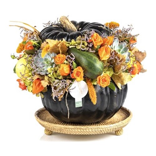 Pumpkin İnfinite