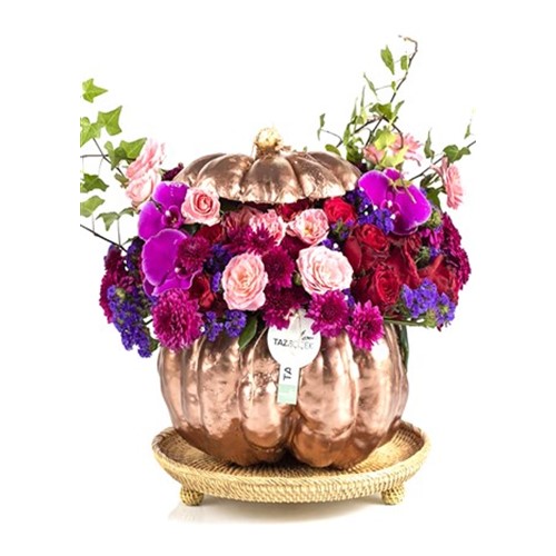 Pumpkin Purple Hope