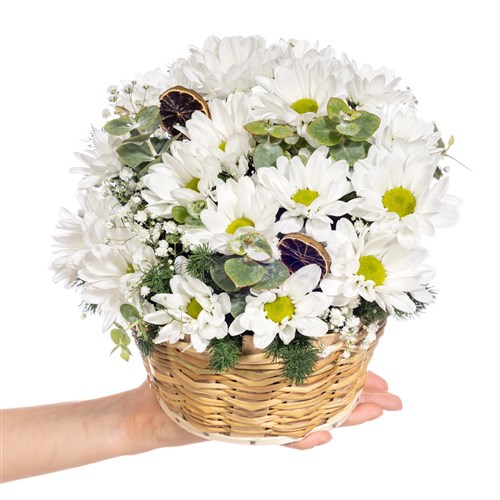 Pure Bloom Papatya Sepeti