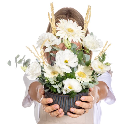 Pure Elegance Bowl Gerbera Aranjman