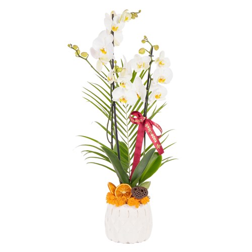 Pure Motif Seramikte Orkide