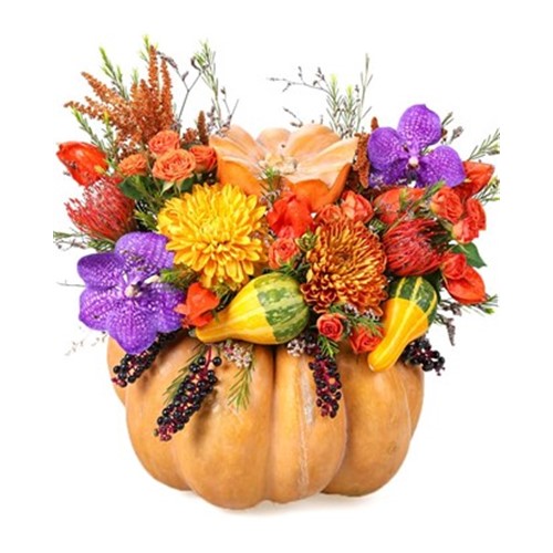 Purple Detail Orange Pumpkin