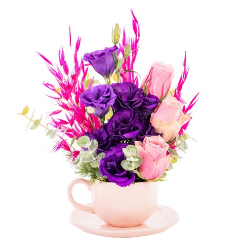 Purple+Kiss+Cup+Lisyantus+%26+G%c3%bcller