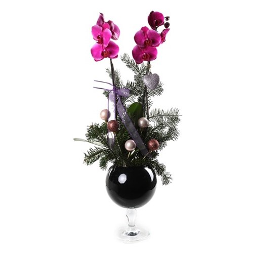 Purple New Year Concept
