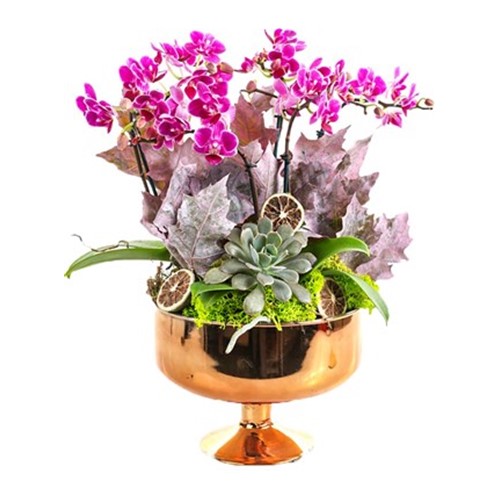 Purple Orchid Gold Vase