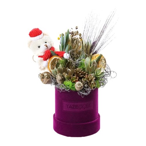 Purple Trace Succulent Arrangement