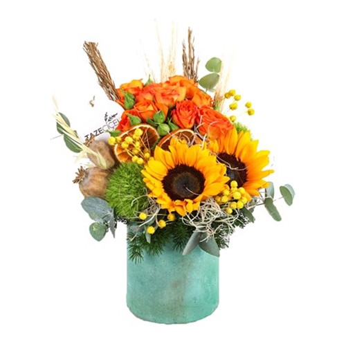 Random+Sunflower