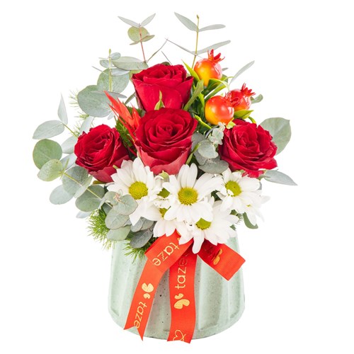 Red Joy Papatya & Gül Aranjmanı