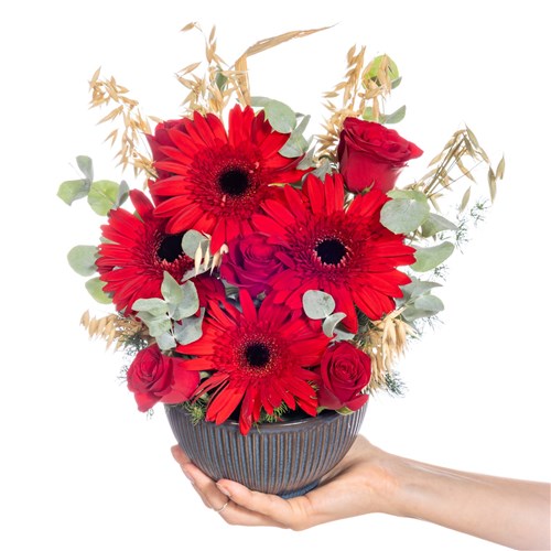 Red Motion Kırmızı Gerbera & Güller