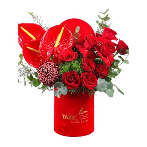 Red Of Box