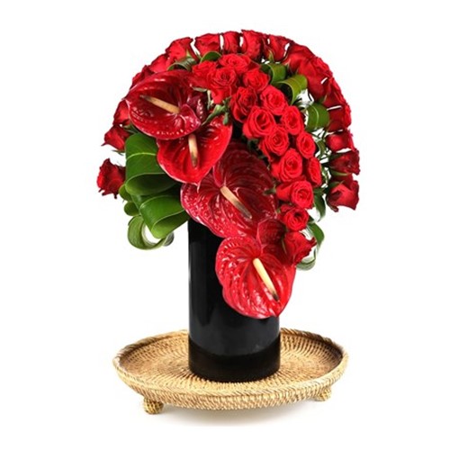 Red Roses & Partner to Love