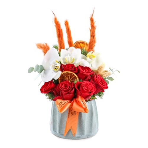 Red Vellet Purity