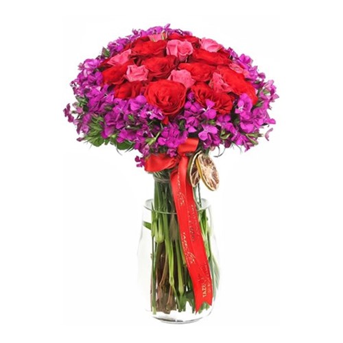 Regal Roses