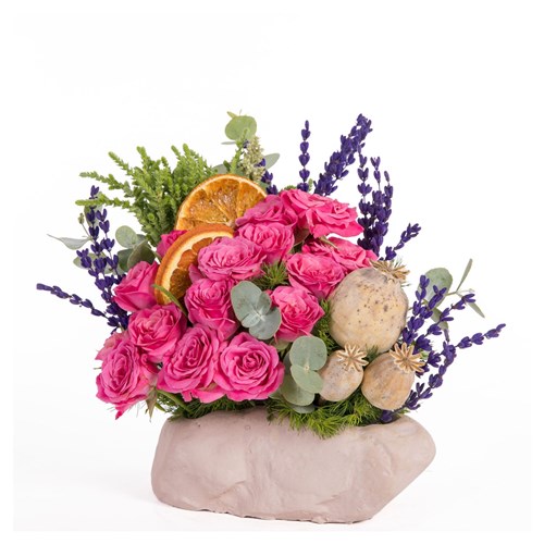 Roseberry Kiss Pembe Çardak Güller