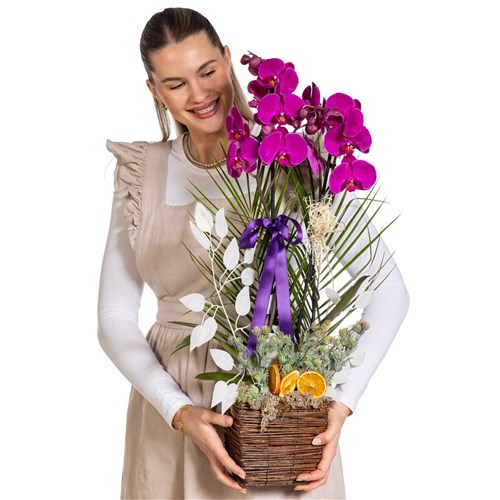 Royal Bloom Orchid Luxury Edition