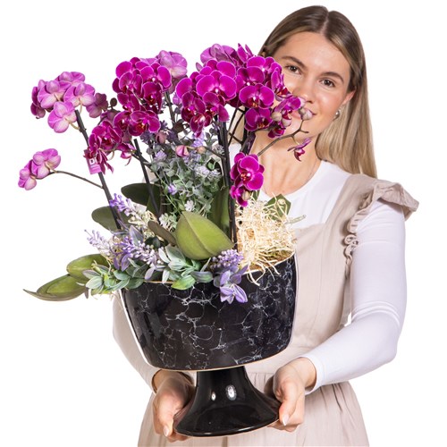 Royal Purple Orkide Aranjmanı
